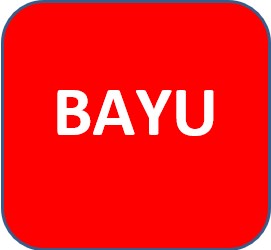 Bayu Hanggoro